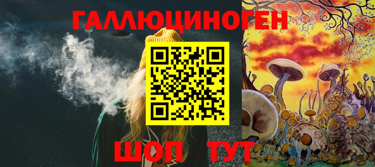 Галлюциногенные грибы Psilocybe  Вход с VPN  Сланцы 