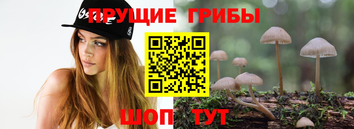 Галлюциногенные грибы мухоморы Сланцы